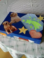 /album/galleria-foto-homepage/a2014-04-08-14-48-28-jpg/